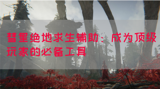 彗星绝地求生辅助：成为顶级玩家的必备工具