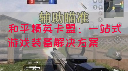 和平精英卡盟：一站式游戏装备解决方案(图1)