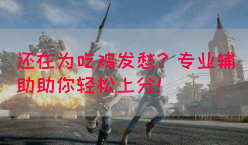 还在为吃鸡发愁？专业辅助助你轻松上分！(图1)