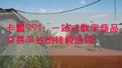 卡盟991：一站式数字商品交易平台的终极选择！(图1)
