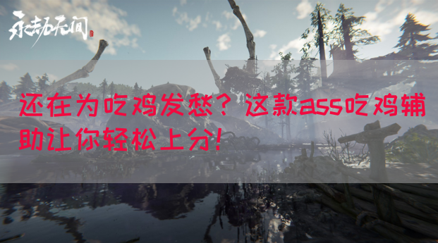 还在为吃鸡发愁？这款ass吃鸡辅助让你轻松上分！