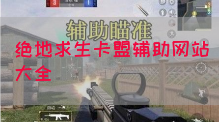 绝地求生卡盟辅助网站大全(图1)