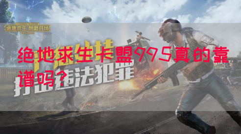 绝地求生卡盟995真的靠谱吗？(图1)