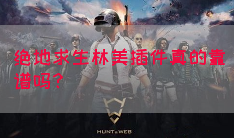 绝地求生林美插件真的靠谱吗？(图1)
