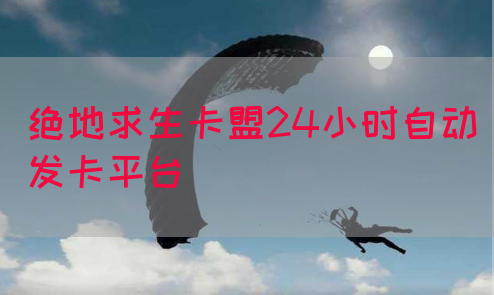 绝地求生卡盟24小时自动发卡平台(图1)
