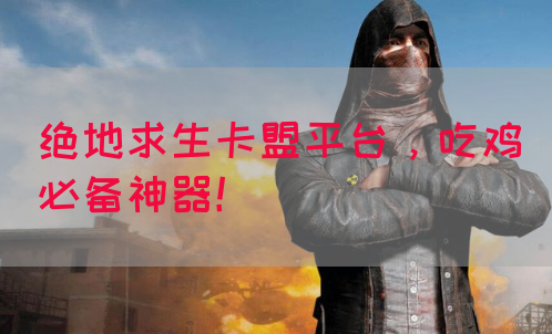 绝地求生卡盟平台，吃鸡必备神器！(图1)