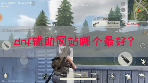 dnf辅助网站哪个最好？(图1)