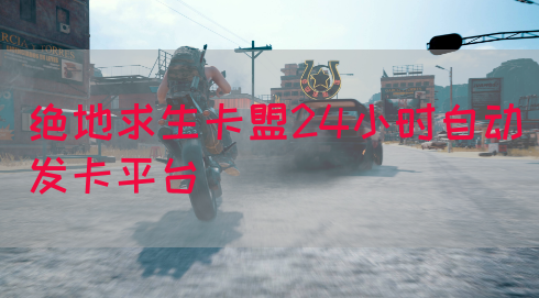 绝地求生卡盟24小时自动发卡平台(图1)