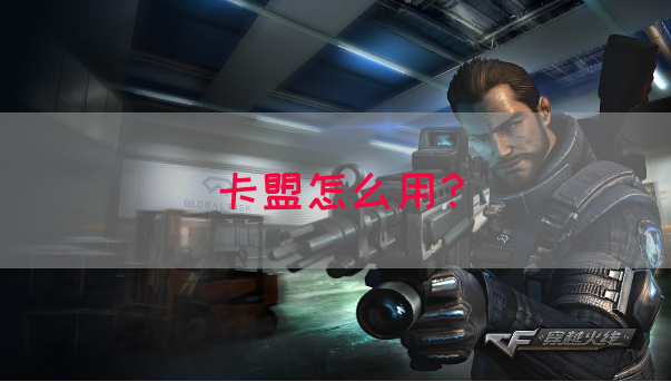 卡盟怎么用？(图1)