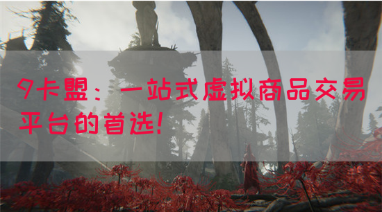 9卡盟：一站式虚拟商品交易平台的首选！(图1)