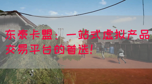 东泰卡盟：一站式虚拟产品交易平台的首选！(图1)