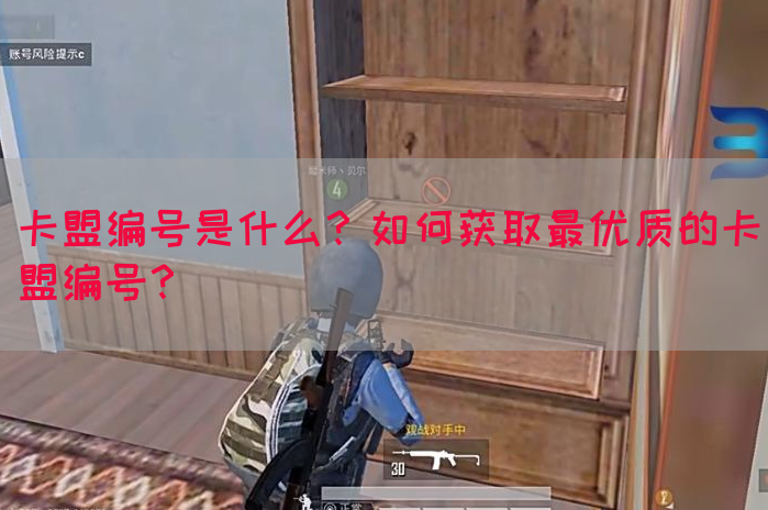 卡盟编号是什么？如何获取最优质的卡盟编号？(图1)