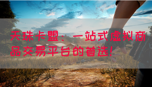 天珠卡盟：一站式虚拟商品交易平台的首选！(图1)