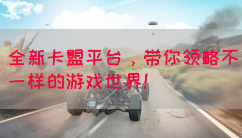 全新卡盟平台，带你领略不一样的游戏世界！