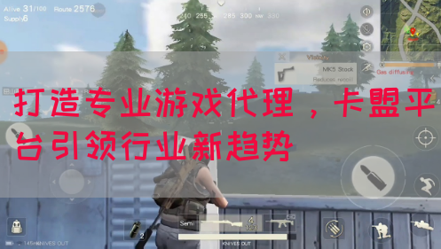 打造专业游戏代理，卡盟平台引领行业新趋势(图1)