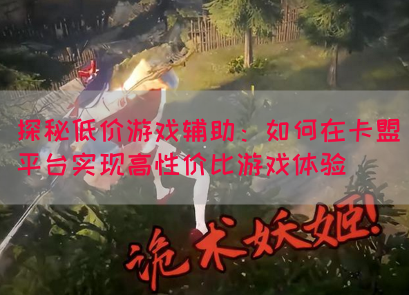 探秘低价游戏辅助：如何在卡盟平台实现高性价比游戏体验(图1)