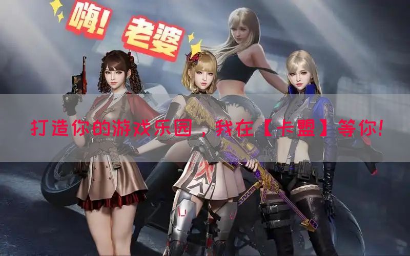 打造你的游戏乐园，我在【卡盟】等你！(图1)