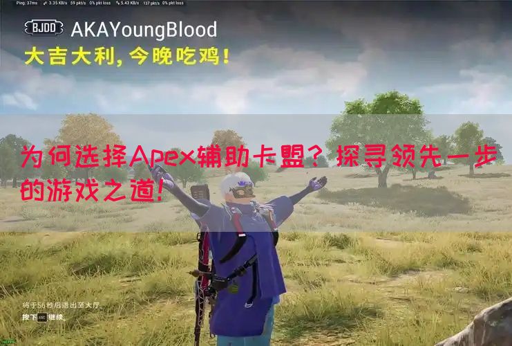 为何选择Apex辅助卡盟？探寻领先一步的游戏之道！