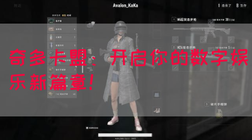 奇多卡盟：开启你的数字娱乐新篇章！(图1)