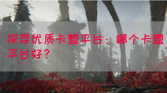 探寻优质卡盟平台：哪个卡盟平台好？(图1)