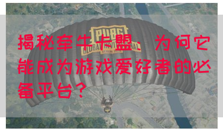 揭秘牵牛卡盟：为何它能成为游戏爱好者的必备平台？(图1)