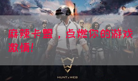 麻辣卡盟，点燃你的游戏激情！(图1)