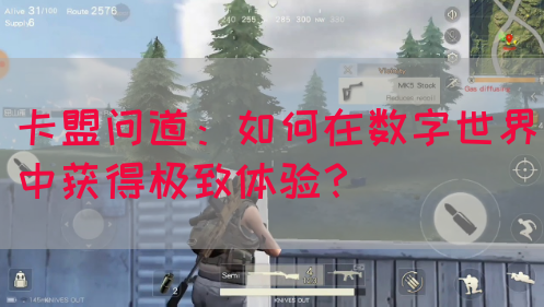 卡盟问道：如何在数字世界中获得极致体验？(图1)