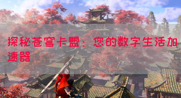 探秘苍穹卡盟：您的数字生活加速器