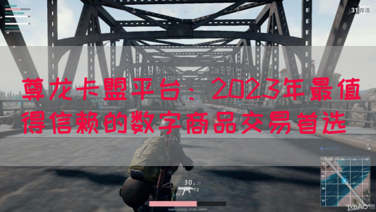 尊龙卡盟平台：2023年最值得信赖的数字商品交易首选(图1)