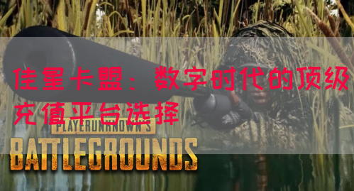 佳星卡盟：数字时代的顶级充值平台选择(图1)