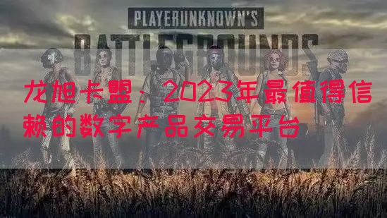 龙旭卡盟：2023年最值得信赖的数字产品交易平台(图1)