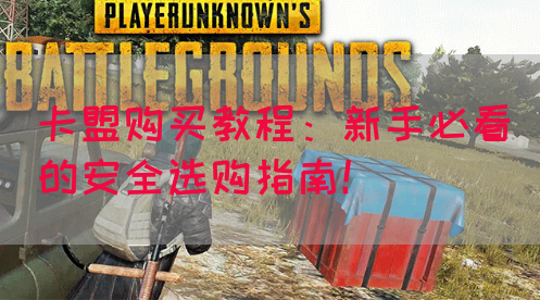 卡盟购买教程：新手必看的安全选购指南！(图1)