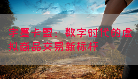 宇墨卡盟：数字时代的虚拟商品交易新标杆(图1)