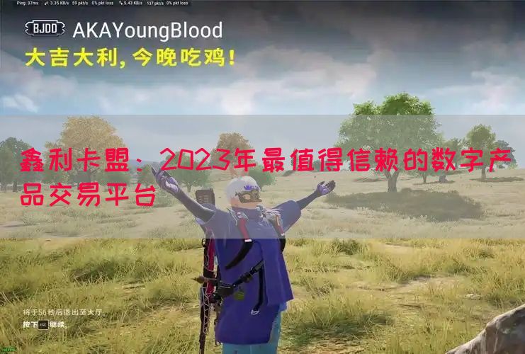 鑫利卡盟：2023年最值得信赖的数字产品交易平台(图1)