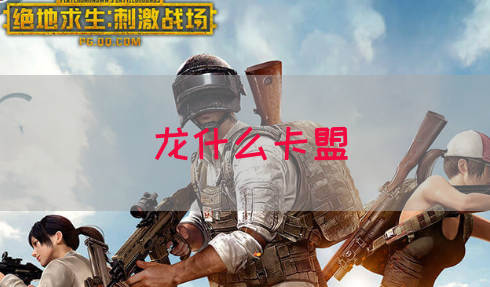龙什么卡盟(图1)