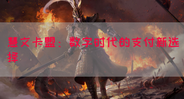 慧文卡盟：数字时代的支付新选择(图1)