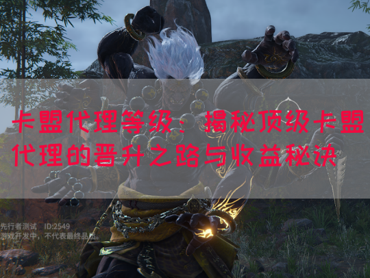 卡盟代理等级：揭秘顶级卡盟代理的晋升之路与收益秘诀