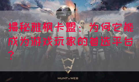 揭秘雅枫卡盟：为何它能成为游戏玩家的首选平台？(图1)