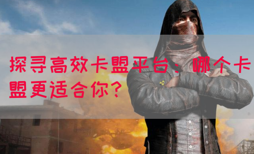 探寻高效卡盟平台：哪个卡盟更适合你？(图1)