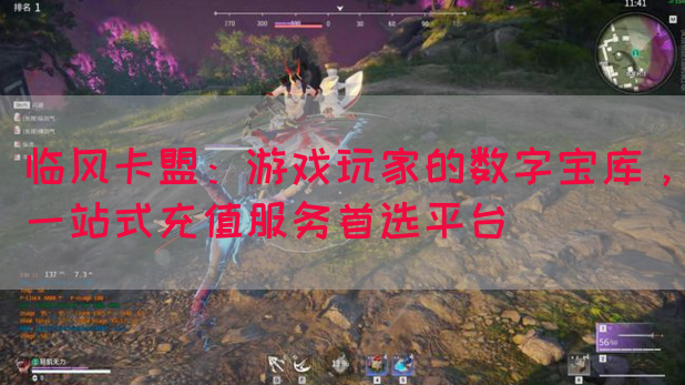 临风卡盟：游戏玩家的数字宝库，一站式充值服务首选平台(图1)