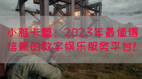 小雅卡盟：2023年最值得信赖的数字娱乐服务平台！(图1)