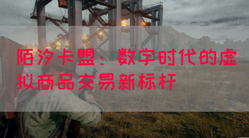 陌汐卡盟：数字时代的虚拟商品交易新标杆(图1)