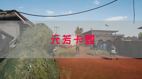 元芳卡盟(图1)