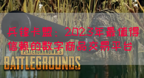 兵锋卡盟：2023年最值得信赖的数字商品交易平台(图1)