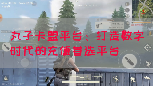丸子卡盟平台：打造数字时代的充值首选平台