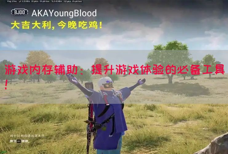 游戏内存辅助：提升游戏体验的必备工具！(图1)