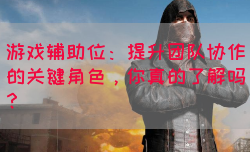 游戏辅助位：提升团队协作的关键角色，你真的了解吗？(图1)