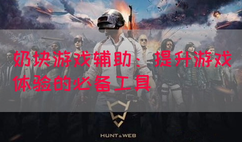 奶块游戏辅助：提升游戏体验的必备工具(图1)
