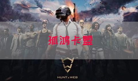 孤鸿卡盟