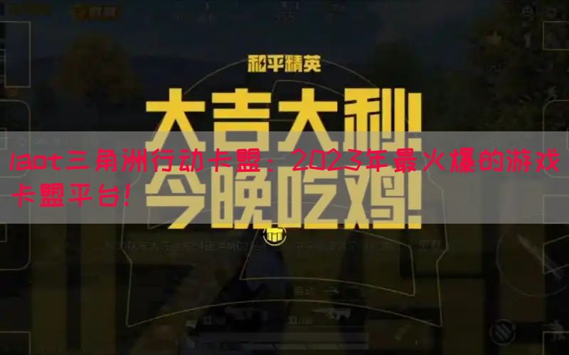 laot三角洲行动卡盟：2023年最火爆的游戏卡盟平台！(图1)
